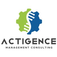 Actigence Management Consulting logo - Similar company to When Both Matter