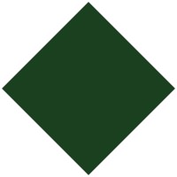 Villi vyöhyke ry logo - Similar company to Springdna