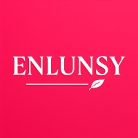 Enlunsy Pakistan logo - Similar company to Dream Sports Group