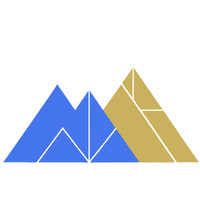Flex.Insight Advisory logo - Similar company to Raman Technologies, Inc
