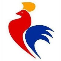 Stade Français Rugby logo - Similar company to Paris Basket-Ball