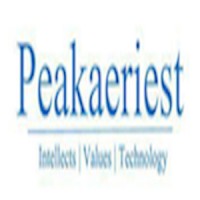 Peakaeriest Technologies Private Limited logo - Similar company to Woolah
