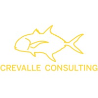 Crevalle Consulting logo - Similar company to Velocity Engineering Services, Llc