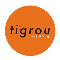 Tigrou Consulting logo - Similar company to Building People Cic