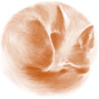 The Japanese Fox Club logo - Similar company to Wp Capital