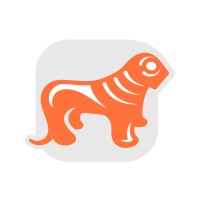 Lion Finance Group PLC logo - Similar company to Reformatics Capital