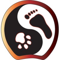 Photonic Therapy Institute logo - Similar company to Pbm