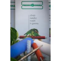 Pressogomma Srl