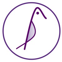 Mynabird logo - Similar company to Said