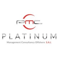 Platinum Management Consultancy logo - Similar company to Mafae Management Consultancy