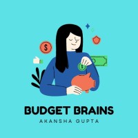 Budget Brains logo - Similar company to Taskrose, Llc