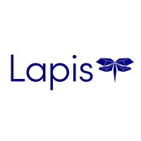 Lapis logo - Similar company to Spatial Vision