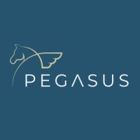 Pegasus Business Risk Management Solutions logo - Similar company to Pt. Dewe Makmur Mapan