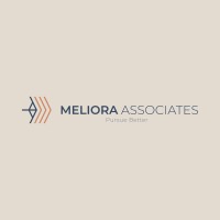 Meliora Associates logo - Similar company to Data Maven