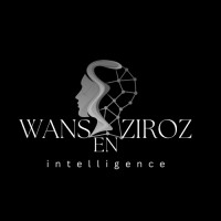 Wansenziroz logo - Similar company to Nwrealite