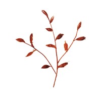 OlgaYogaDance logo - Similar company to Madeca