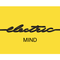 Electric Mind logo - Similar company to Capable Kids