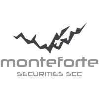 Monte Forte Securities logo - Similar company to Dr.Bimix