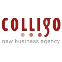 Colligo GmbH logo - Similar company to Scalr Media