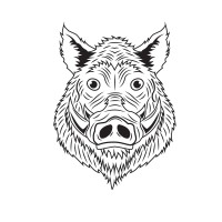 Boarventurers logo - Similar company to Hrčak