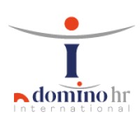 DOMINO HR International Ireland logo - Similar company to Hr Learning Academy