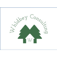 Wh1Dbey Consulting Llc