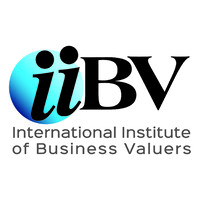International Institute of Business Valuers logo - Similar company to Business Valuation Institute Uk (Bviuk)