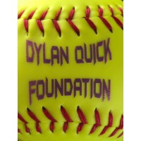 Dylan Quick Foundation logo - Similar company to 1Bc