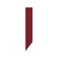 ENSIS Grupa logo - Similar company to Health Folder - Teczka Pacjenta
