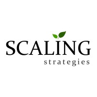 Scaling Strategies logo - Similar company to Salientian