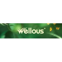 wellous indonesia logo - Similar company to Wellous Group