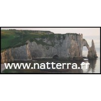 NATTERRA logo - Similar company to Natarys