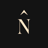 Noûs Art logo - Similar company to Aster Design