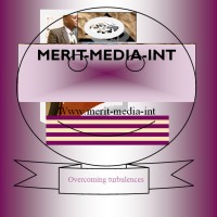 MERIT MEDIA INT logo - Similar company to Softteamgroup