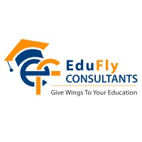 EduFly Consultants logo - Similar company to Techwizard