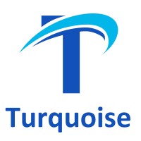 Turquoise International logo - Similar company to Serka Contracting Llc