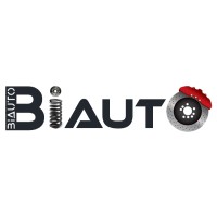 BiAuto logo - Similar company to Day Car