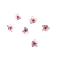 Falling Blossoms
