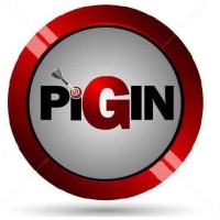 Purpose Ignition Initiative logo - Similar company to Bending Waters