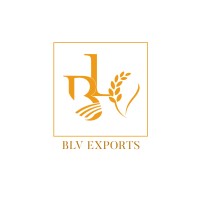 BLV Exports Limited logo - Similar company to Snm Technoloiges