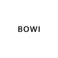 BOWI logo - Similar company to Bowi