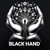Black Hand Recruitment Solutions logo - Similar company to Hammer Wood Contracting Egypt
