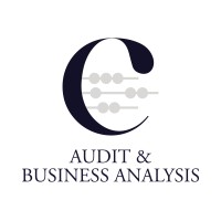 AUDIT & BUSINESS ANALYSIS logo - Similar company to Millecode
