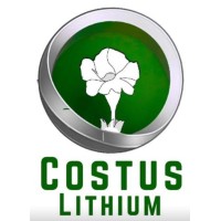 Costus Lithium Pty Ltd logo - Similar company to Lowase Capital Partners