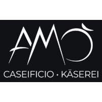 AMÒ logo - Similar company to Eurogest Srl