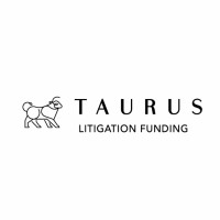 Taurus Litigation Funding logo - Similar company to Level Seven Nyc