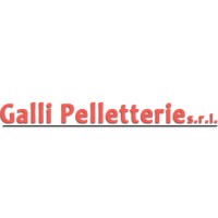 Galli Pelletterie logo - Similar company to Pir.Sa.Fa. S.R.L.