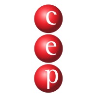 The Civil Engineering Practice logo - Similar company to Barrell Tree Consultancy
