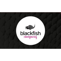 Blackfish Conveyancing logo - Similar company to Pro Choice Conveyancing