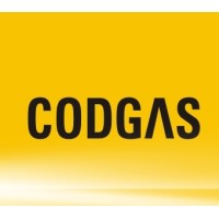 Cod Gas Enterprise Srl